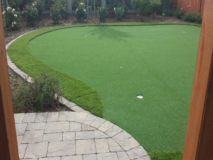 Plastic Grass Leawood, Kansas Putting Greens, Backyard Ideas