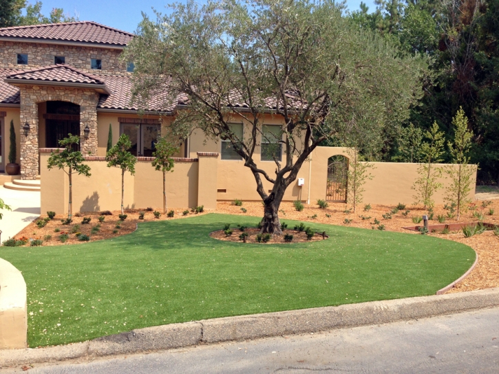 Plastic Grass Lorraine, Kansas Lawn And Landscape, Front Yard