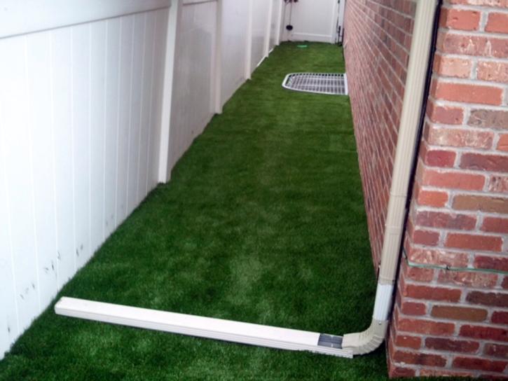 Plastic Grass McLouth, Kansas Design Ideas, Backyards