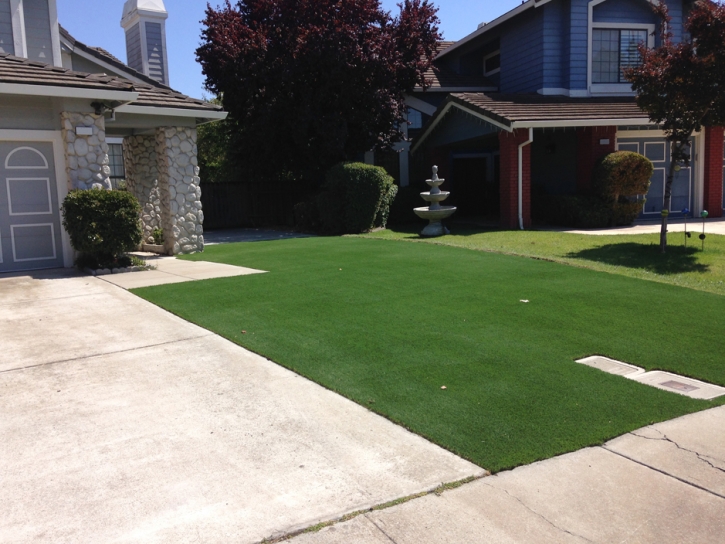 Plastic Grass New Cambria, Kansas Landscape Design, Small Front Yard Landscaping