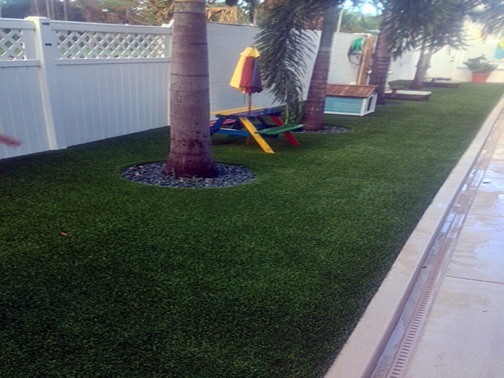 Plastic Grass Quinter, Kansas Landscape Ideas, Backyard Garden Ideas