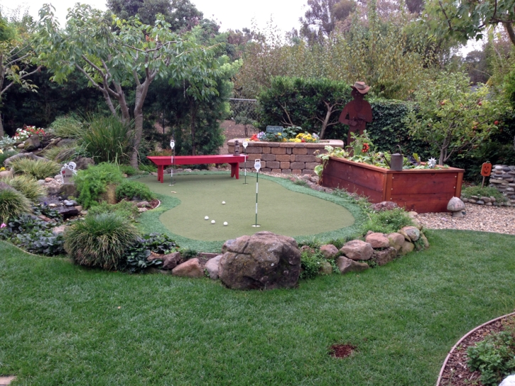 Plastic Grass Summerfield, Kansas How To Build A Putting Green, Backyard Landscaping