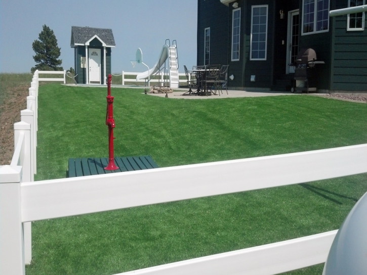 Synthetic Grass Altamont, Kansas Landscape Ideas, Front Yard
