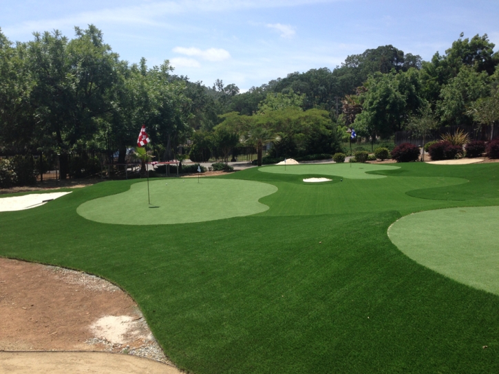 Synthetic Grass Benedict, Kansas Outdoor Putting Green, Front Yard