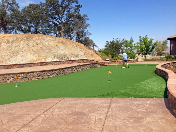 Synthetic Grass Bucklin, Kansas Roof Top, Backyard Landscaping Ideas