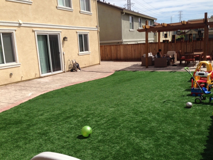 Synthetic Grass Cost Bennington, Kansas City Landscape, Backyard