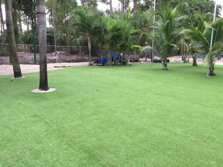 Synthetic Grass Cost Caney, Kansas Gardeners, Commercial Landscape