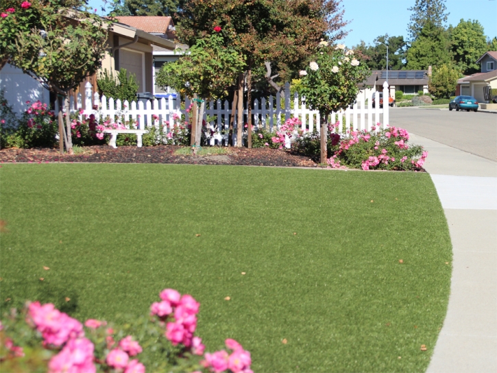 Synthetic Grass Cost Eudora, Kansas Landscaping Business, Front Yard Landscaping Ideas