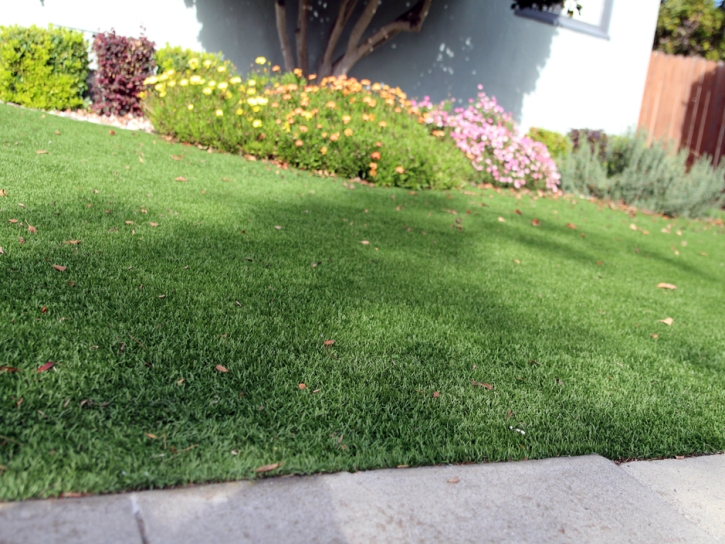 Synthetic Grass Cost Goodland, Kansas Lawns, Front Yard