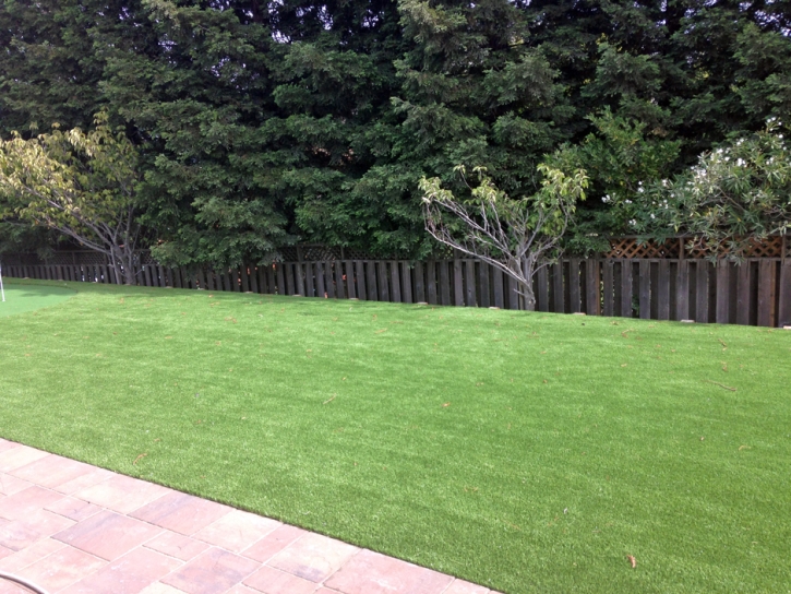 Synthetic Grass Cost Holton, Kansas Lawns, Backyards