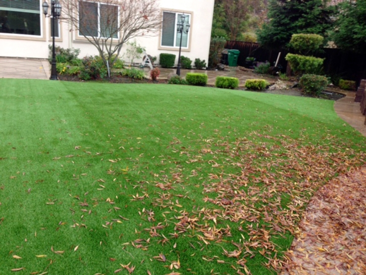 Synthetic Grass Cost Kismet, Kansas Landscape Photos, Backyards