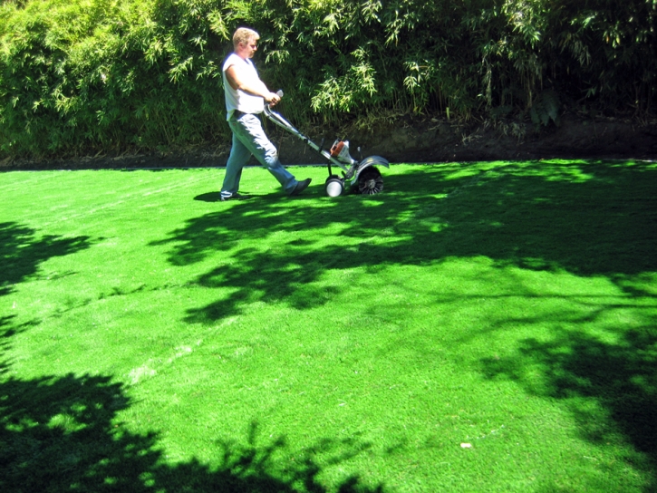Synthetic Grass Cost Lebanon, Kansas City Landscape, Small Backyard Ideas