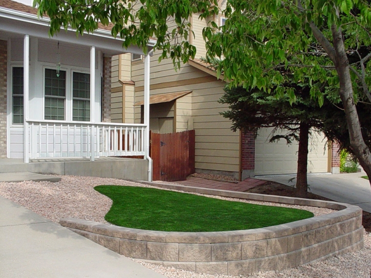 Synthetic Grass Cost Longford, Kansas, Front Yard Ideas