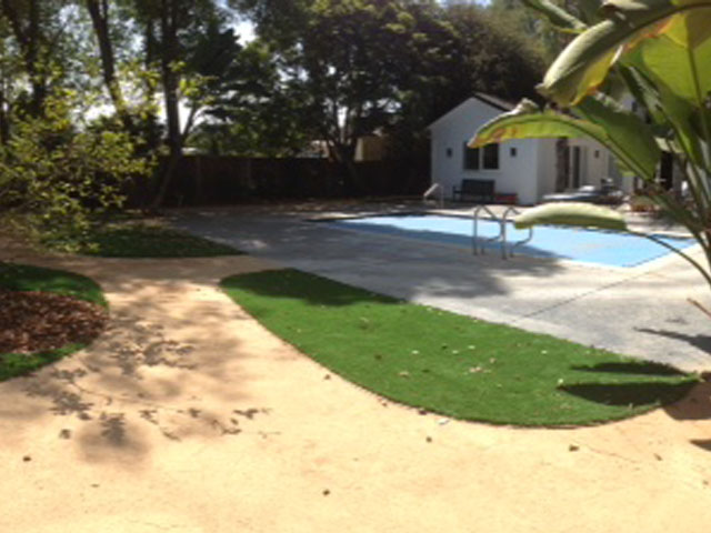 Synthetic Grass Cost New Strawn, Kansas Landscaping Business, Backyard Landscaping Ideas