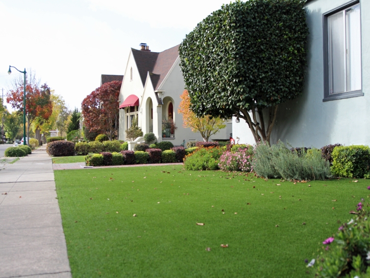 Synthetic Grass Cost Newton, Kansas City Landscape, Front Yard Landscape Ideas
