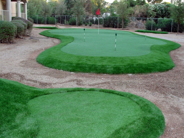 Synthetic Grass Cost North Newton, Kansas Best Indoor Putting Green, Backyard Landscaping Ideas