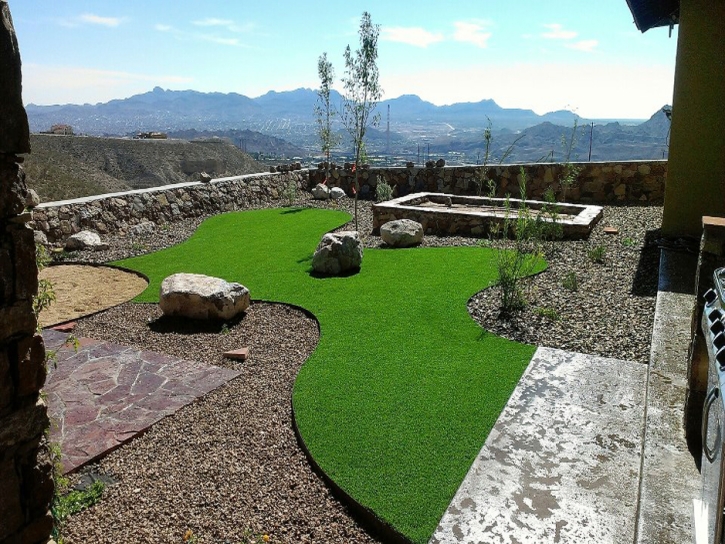 Synthetic Grass Cost Pomona, Kansas Cat Grass, Backyard