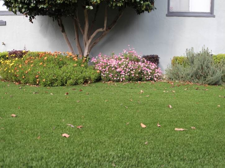 Synthetic Grass Cost Sawyer, Kansas Landscape Design, Front Yard