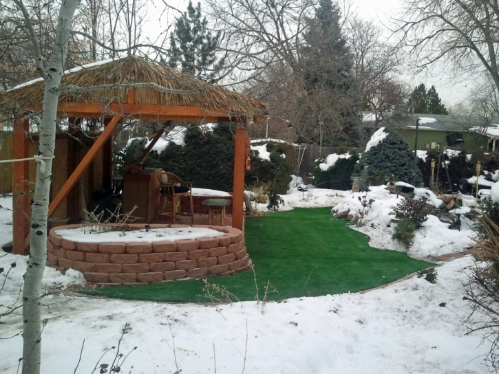 Synthetic Grass Cost Vassar, Kansas Lawn And Garden, Snow