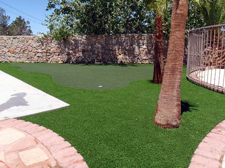 Synthetic Grass Girard, Kansas Gardeners, Backyard Landscaping