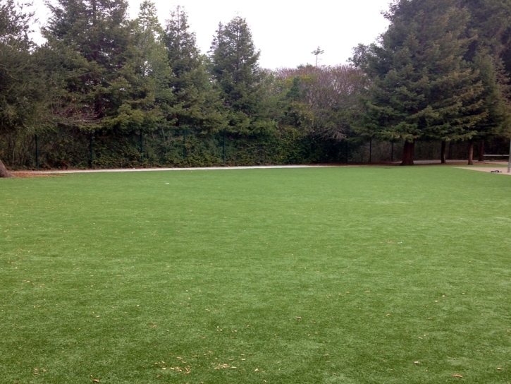 Synthetic Grass Hays, Kansas Backyard Playground, Parks