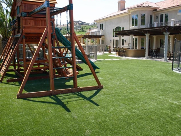 Synthetic Grass Lyons, Kansas Athletic Playground, Backyard