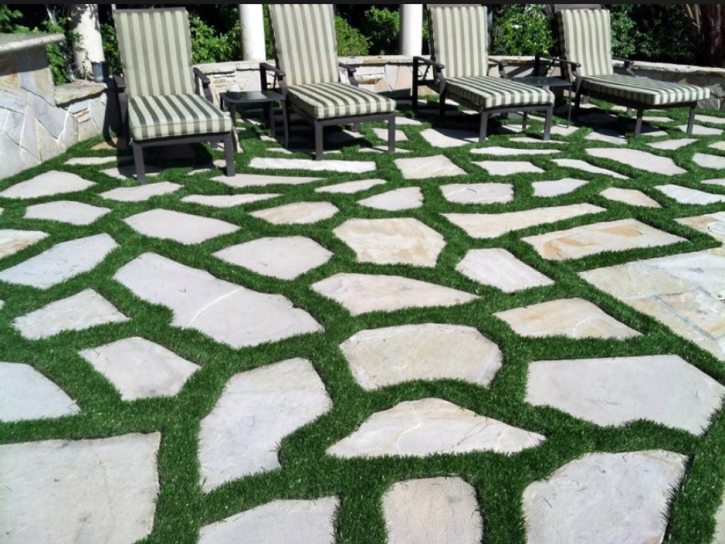 Synthetic Grass Moundridge, Kansas Lawn And Garden, Backyards