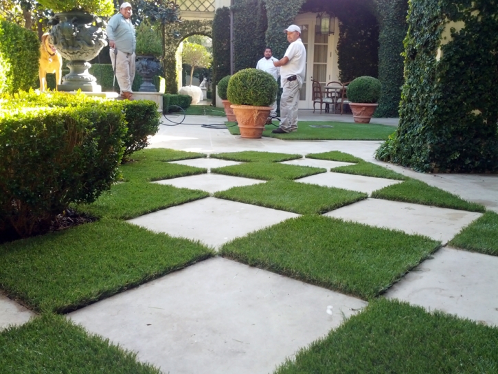 Synthetic Grass Norton, Kansas Design Ideas, Pavers