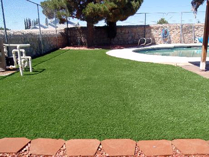 Synthetic Grass Saint Francis, Kansas Dog Park, Pool Designs