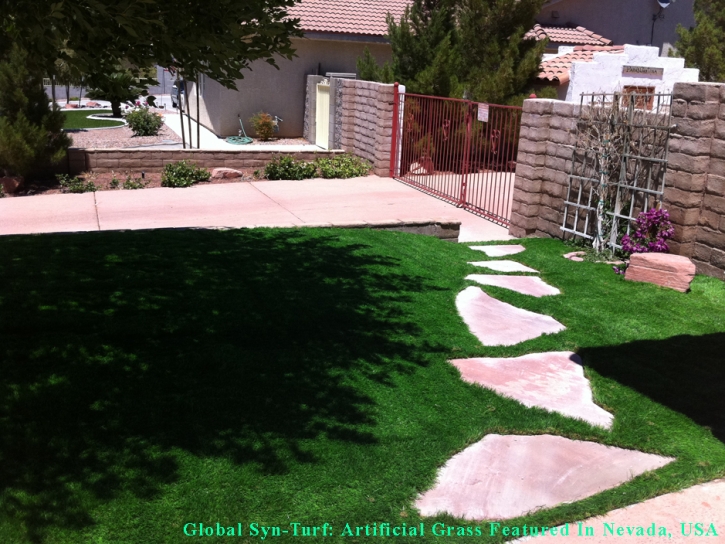 Synthetic Grass Saint Marys, Kansas Pictures Of Dogs, Front Yard Landscape Ideas