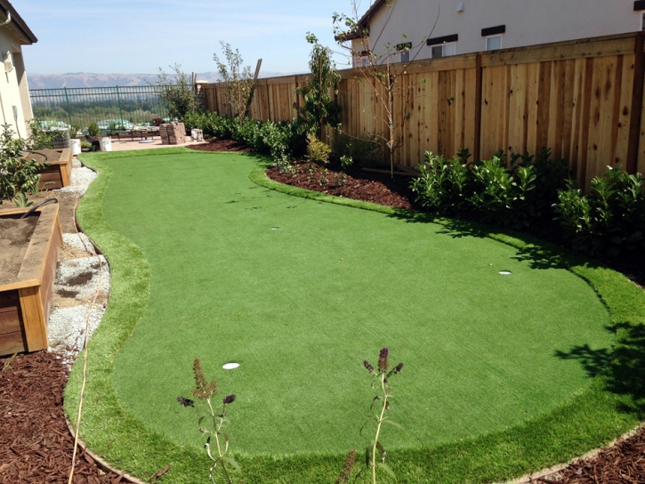 Synthetic Grass Spearville, Kansas Office Putting Green, Backyard Landscaping
