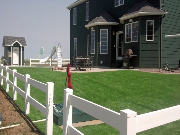 Synthetic Grass Winfield, Kansas, Front Yard Landscape Ideas