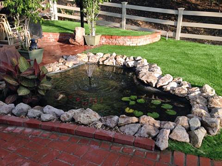 Synthetic Lawn Atwood, Kansas Landscaping, Backyard