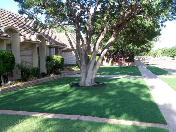 Synthetic Lawn Beverly, Kansas Landscaping Business, Front Yard Ideas