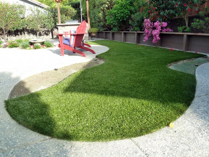 Synthetic Lawn Emporia, Kansas Garden Ideas, Backyard