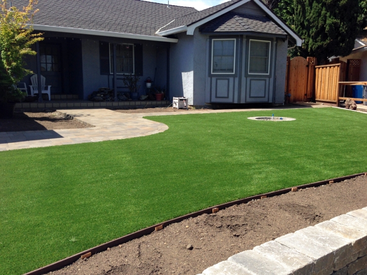 Synthetic Lawn Geneseo, Kansas Lawn And Garden, Front Yard Ideas