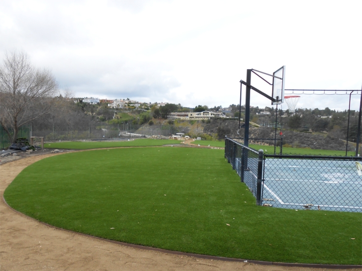 Synthetic Lawn Halstead, Kansas Backyard Playground, Commercial Landscape