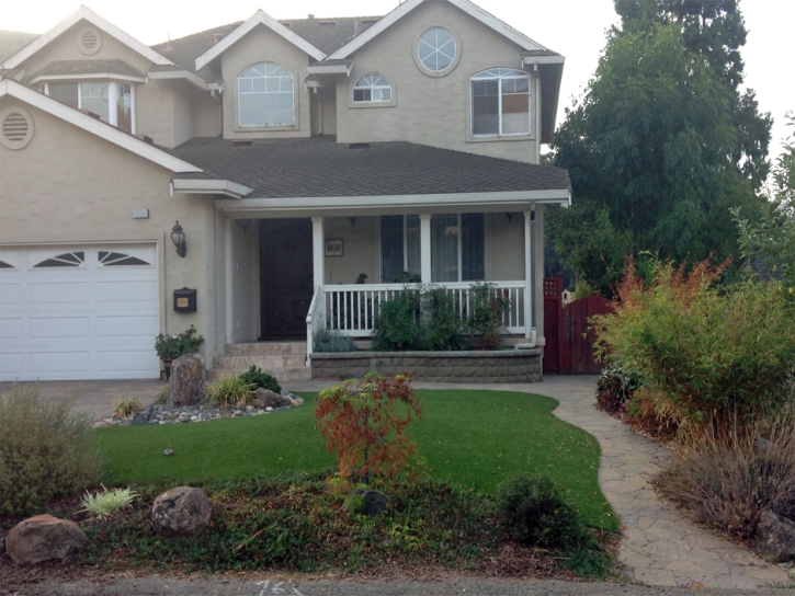 Synthetic Lawn Inman, Kansas City Landscape, Front Yard Landscaping Ideas