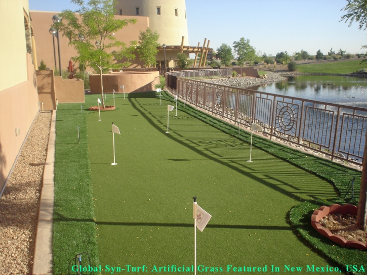 Synthetic Lawn Park City, Kansas Putting Green Grass, Backyard Designs