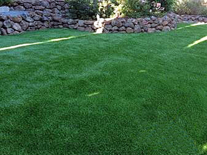 Synthetic Lawn Protection, Kansas Artificial Turf For Dogs, Backyard Garden Ideas