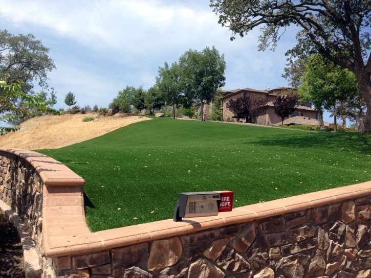 Synthetic Lawn Rantoul, Kansas Landscaping Business, Front Yard Landscaping Ideas
