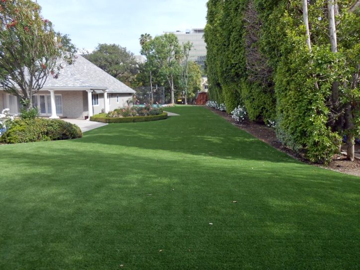 Synthetic Turf Burdett, Kansas Grass For Dogs, Front Yard Landscaping Ideas