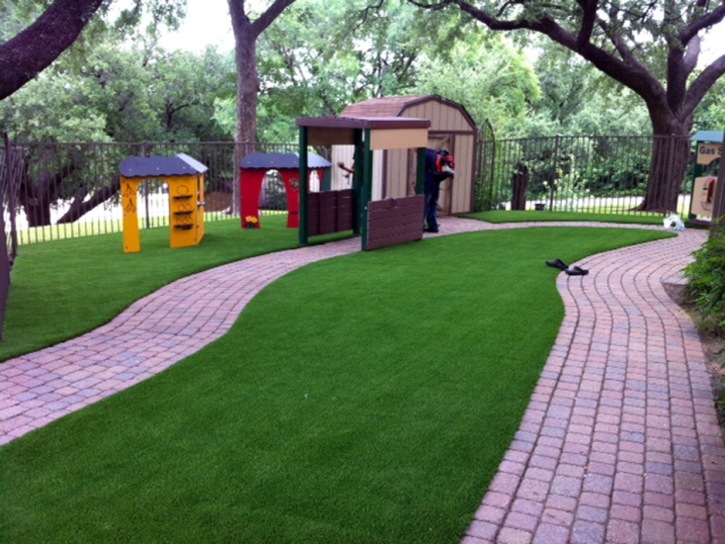 Synthetic Turf Climax, Kansas City Landscape, Commercial Landscape