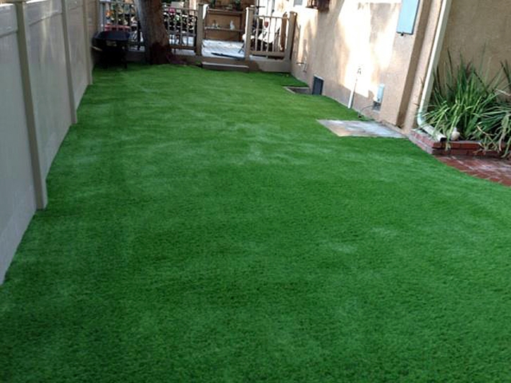 Synthetic Turf Coolidge, Kansas Roof Top, Backyard Landscape Ideas