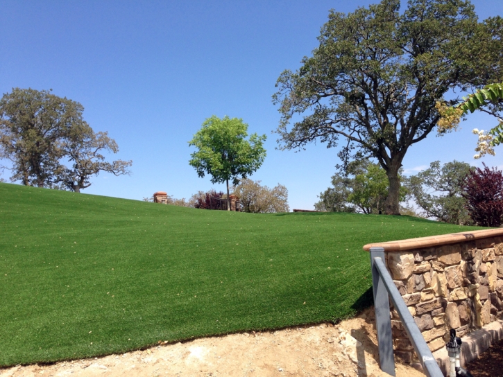 Synthetic Turf Elk City, Kansas Home And Garden, Landscaping Ideas For Front Yard