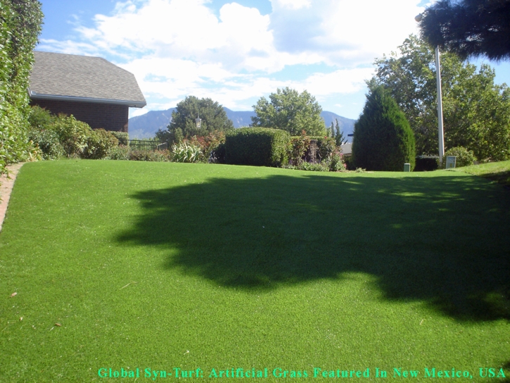 Synthetic Turf Maize, Kansas Lawns, Backyard Garden Ideas