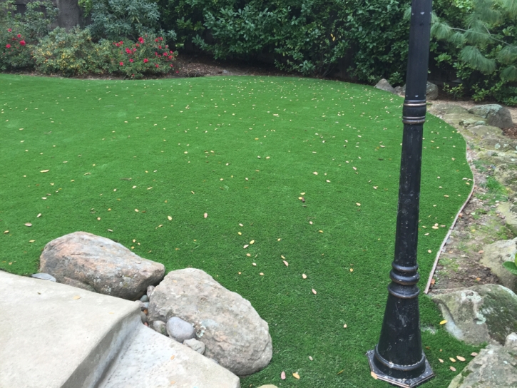 Synthetic Turf New Albany, Kansas Home And Garden, Backyard Garden Ideas