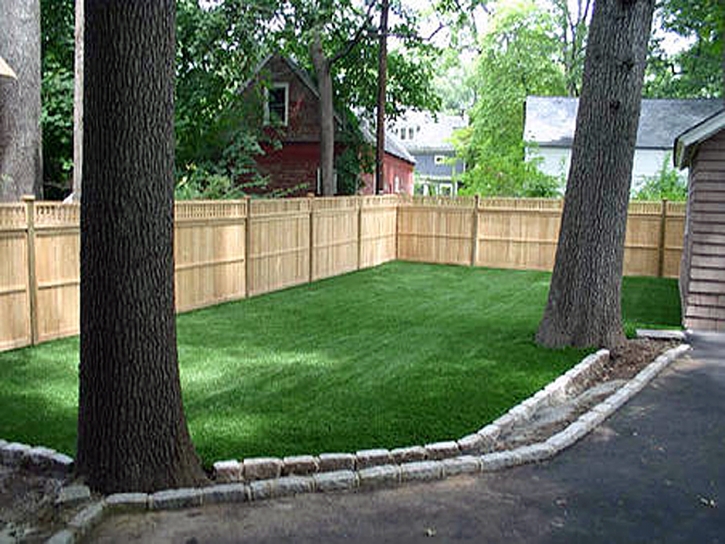 Synthetic Turf Oswego, Kansas Dog Pound, Backyard Design