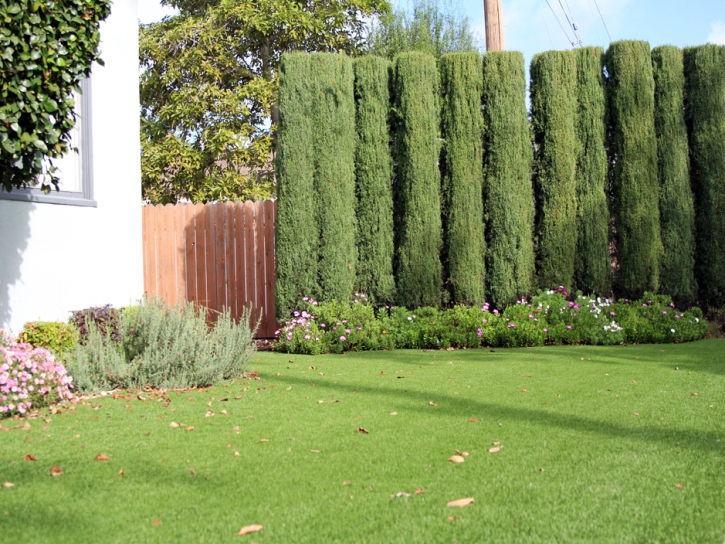 Synthetic Turf Oxford, Kansas Gardeners, Front Yard Design