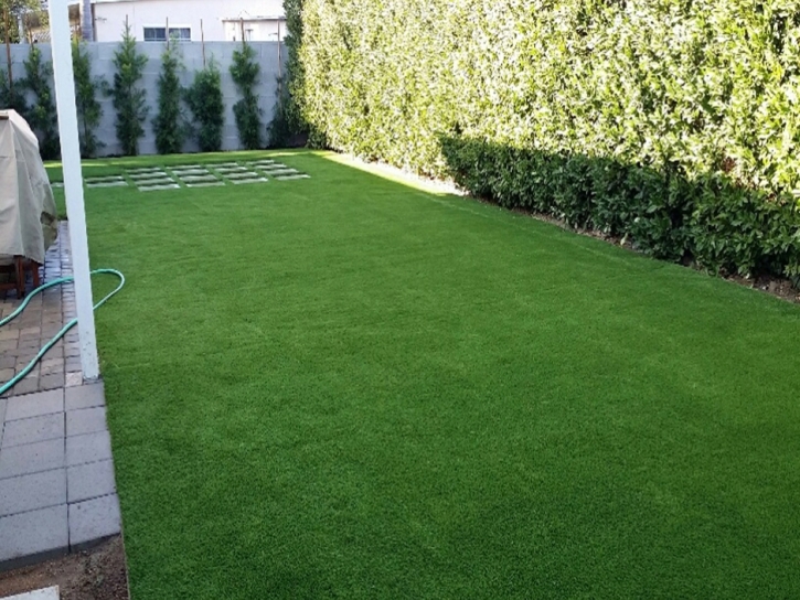 Synthetic Turf Perry, Kansas Fake Grass For Dogs, Backyard Makeover